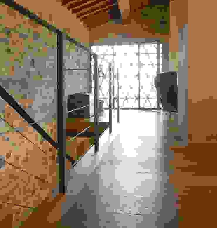 ทันสมัย  โดย Design Manufaktur GmbH, โมเดิร์น   