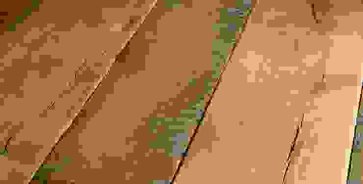 ทันสมัย  โดย Design Manufaktur GmbH, โมเดิร์น   