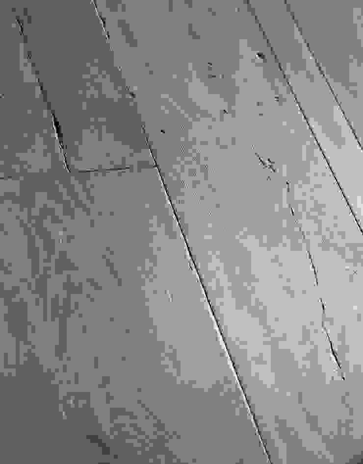 ทันสมัย  โดย Design Manufaktur GmbH, โมเดิร์น   