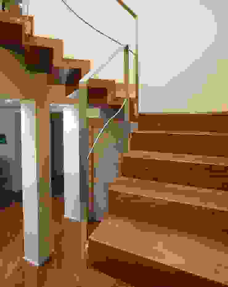 ทันสมัย  โดย Design Manufaktur GmbH, โมเดิร์น   