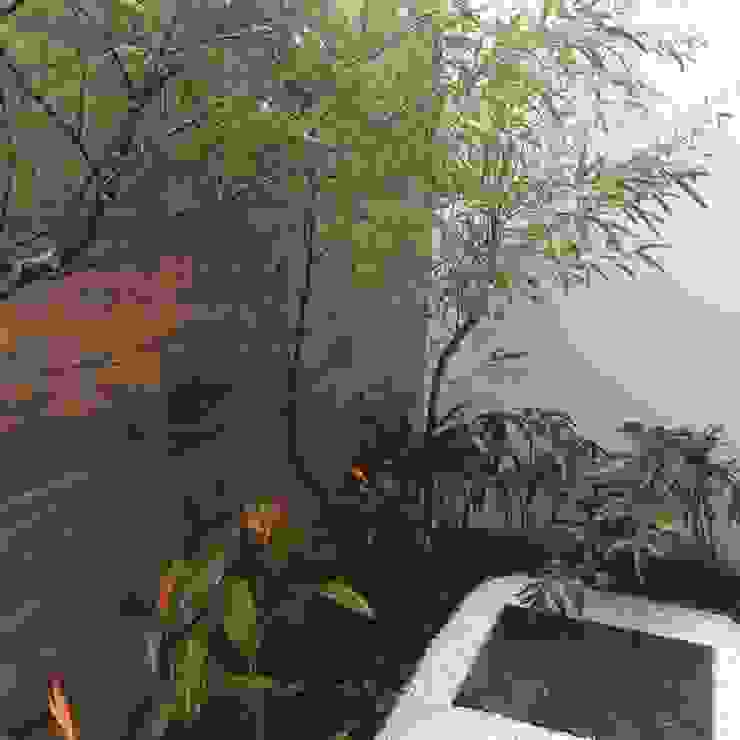 Casa A.A. Eneida Lima Paisagismo Jardins tropicais