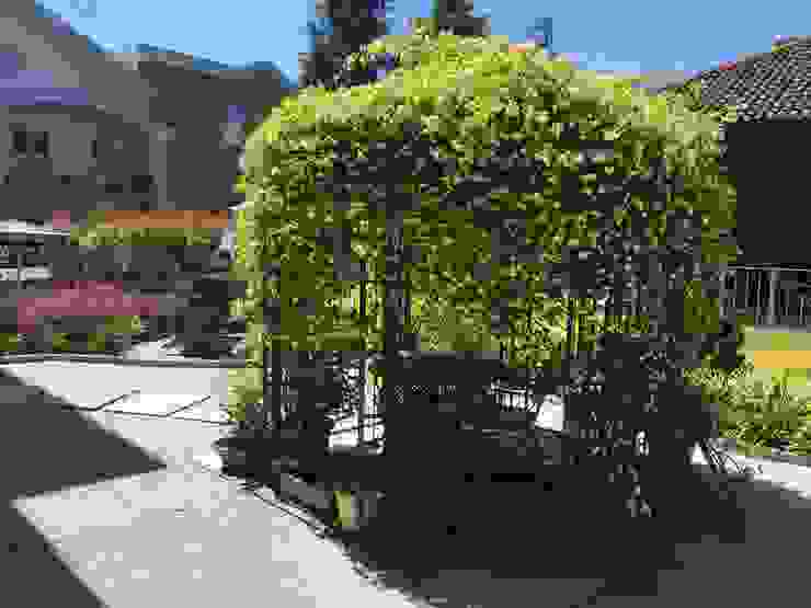 Azienda agricola Vivai Romeo Asiatischer Balkon, Veranda & Terrasse