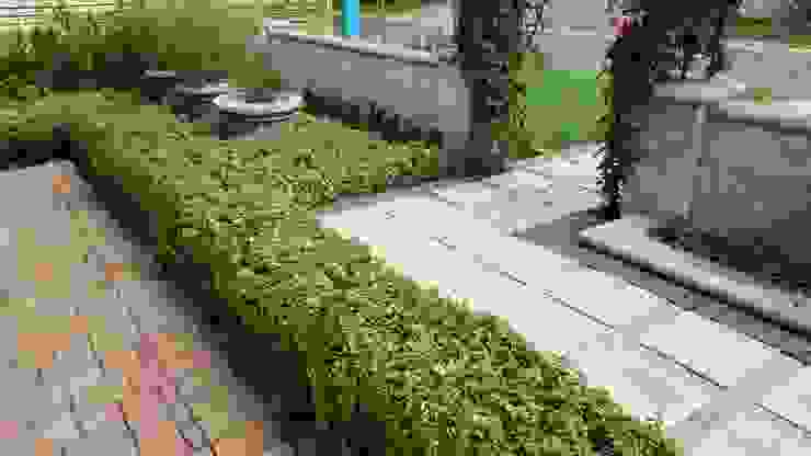 Gorgeous Gardens Сад