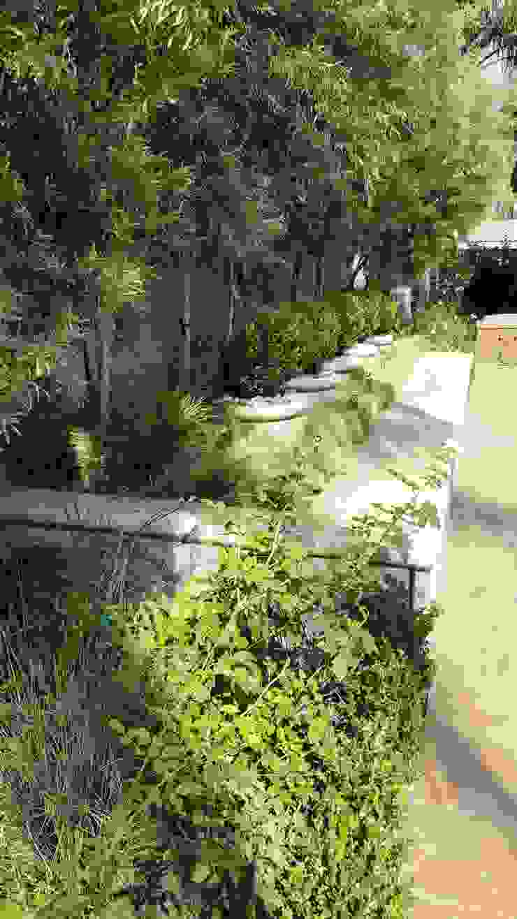 Gorgeous Gardens Сад