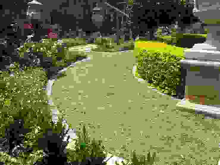 Gorgeous Gardens Modern Garden