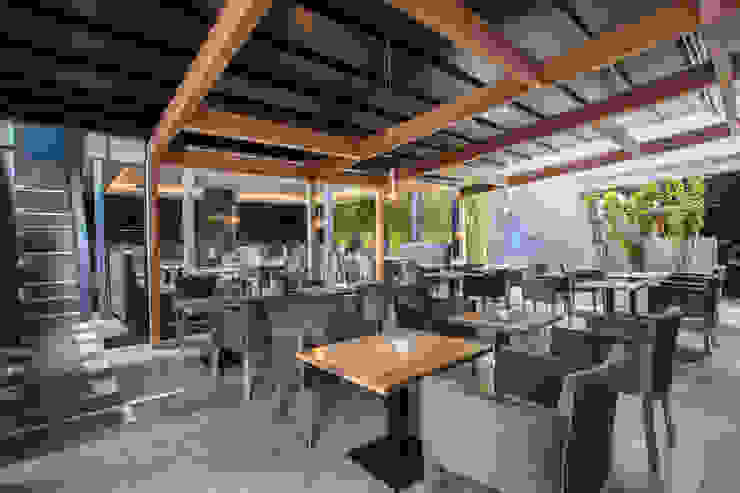 Shisha Garden | Fasci Garden