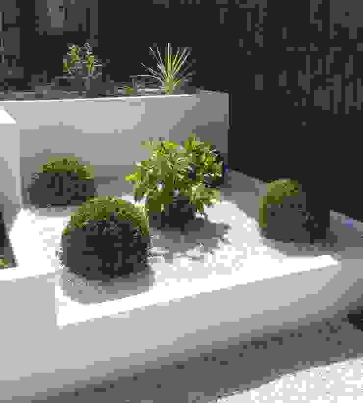 Buxus Spheres and Hydrangea Gardenplan Design Jardines modernos: Ideas, imágenes y decoración Blanco Planting,Buxus,White gravel