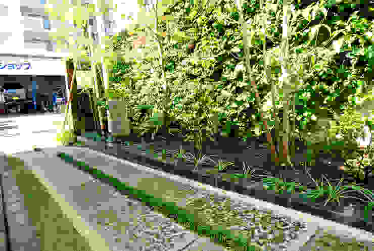 玄関前 アプローチ, 作庭処 植徳 作庭処 植徳 Modern garden