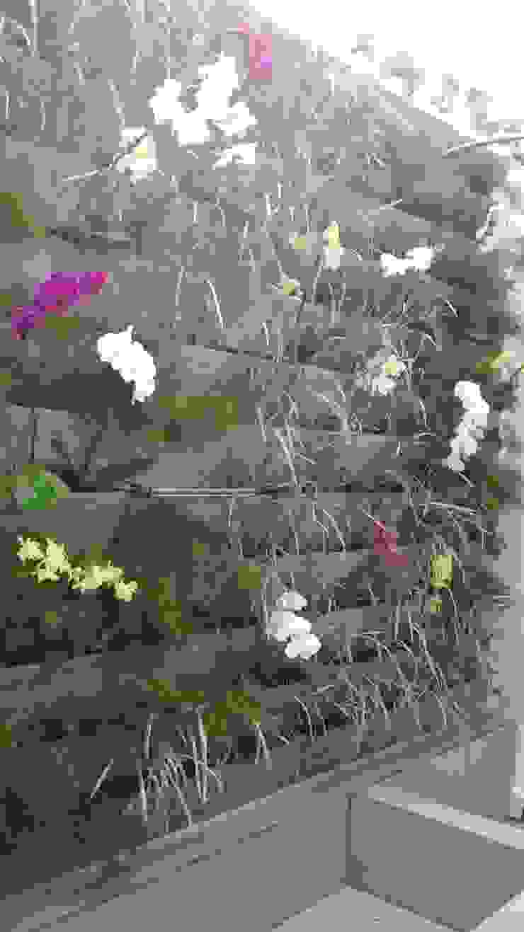 JARDIM VERTICAL Borges Arquitetura & Paisagismo JardimPlantas e flores