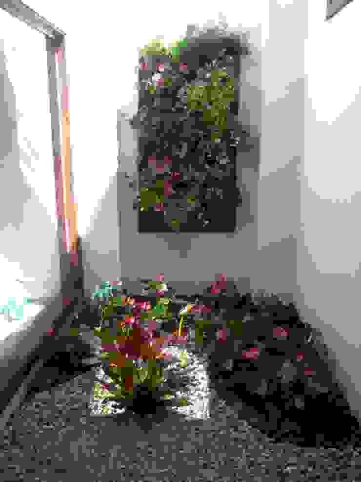 JARDIM VERTICAL Borges Arquitetura & Paisagismo Paisagismo de interior