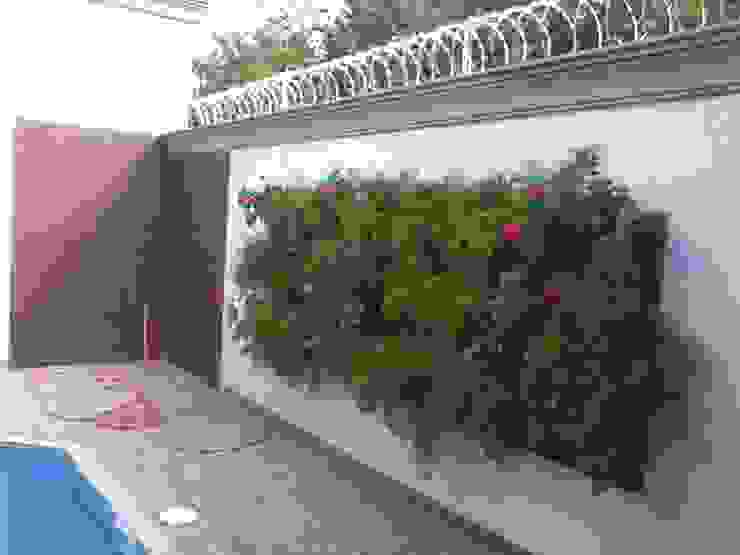 JARDIM VERTICAL Borges Arquitetura & Paisagismo Piscina