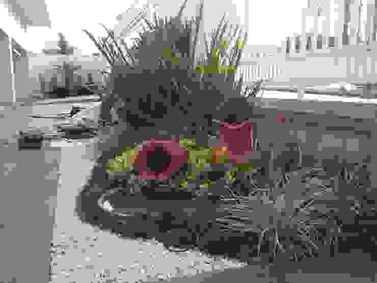 JARDINS E FONTES Borges Arquitetura & Paisagismo Jardins modernos