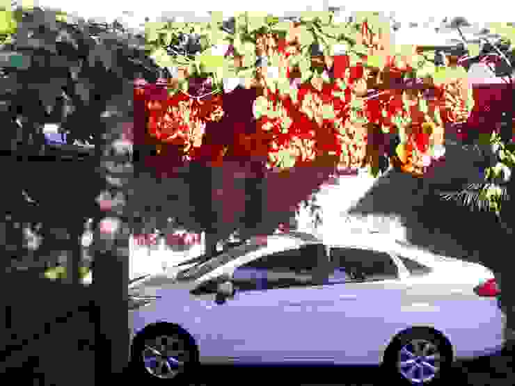 JARDINS E FONTES Borges Arquitetura & Paisagismo Jardins modernos