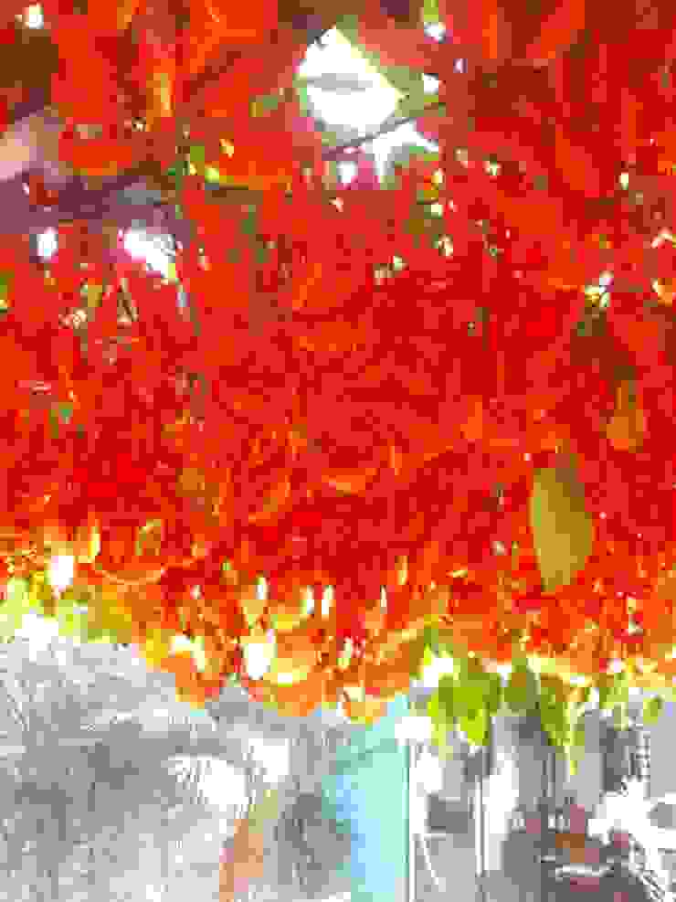 JARDINS E FONTES Borges Arquitetura & Paisagismo Jardins modernos