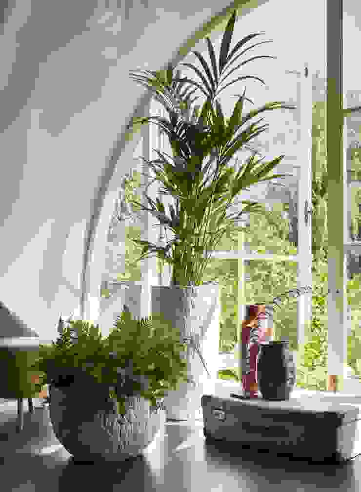 Capi Nature INDOOR | homify