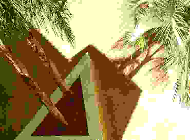 16 jardineras que vas a querer para tu patio o jardín | homify | homify