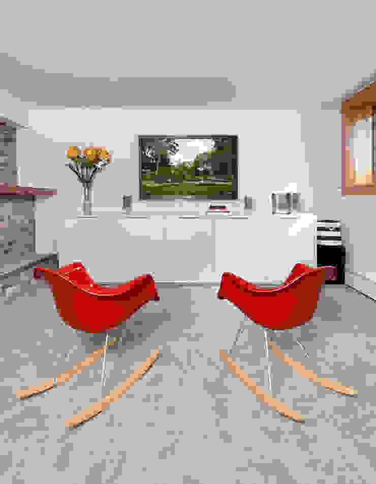 Basement Clean Design Modern Living Room