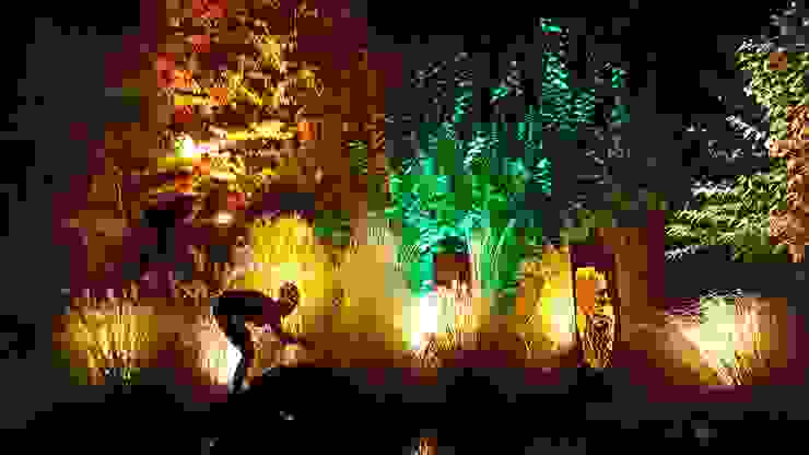Durch passende Beleuchtung einen kleinen Garten in Szene setzen, Moreno Licht mit Effekt - Lichtplaner Moreno Licht mit Effekt - Lichtplaner Mediterraner Garten Menschen in der Natur,Zweig,Beleuchtung,Organismus,Gras,Anlage,Kunst,Mitternacht,Vorfall,Elektrizität
