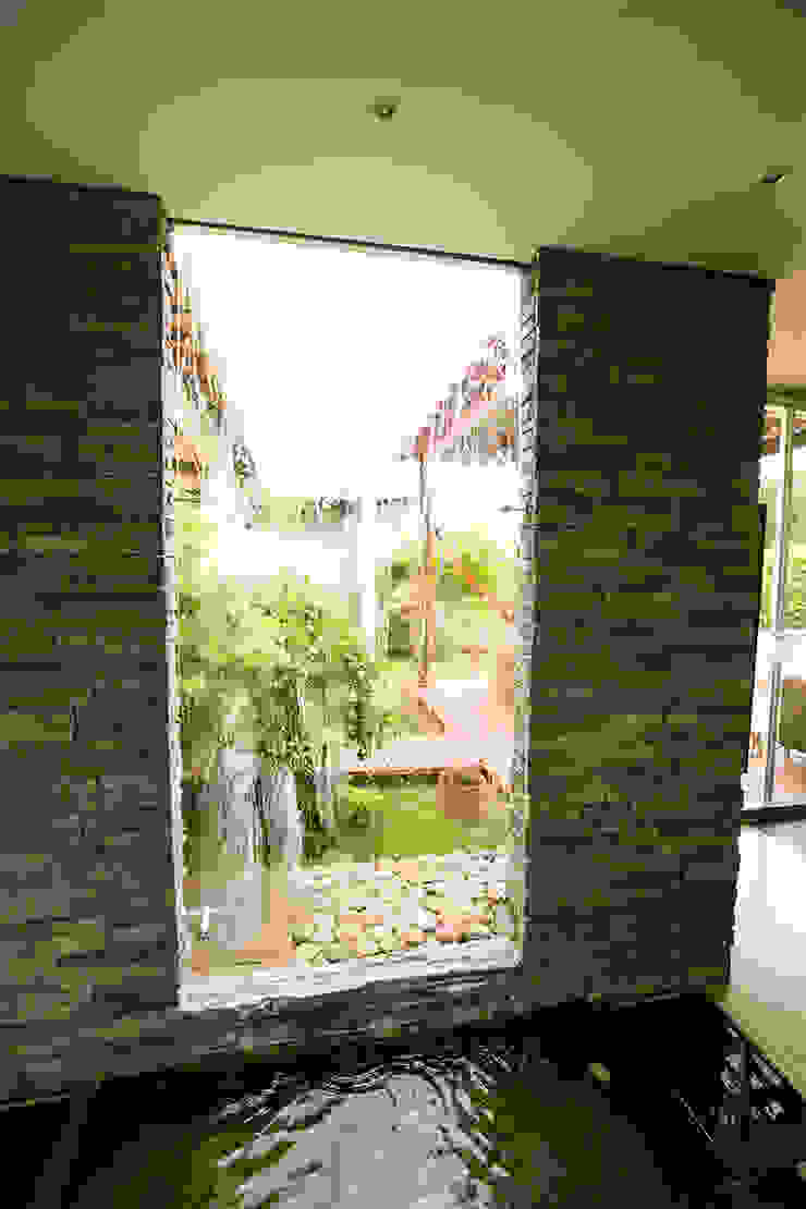 Casa de la Musica, Arquitectura Positiva Arquitectura Positiva Tropischer Garten