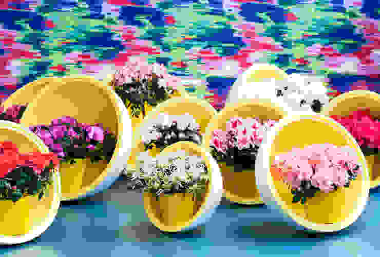Download 4500 Koleksi Background Bunga Kontras HD Terbaru