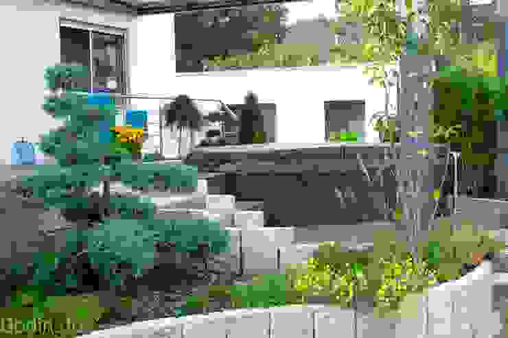 Gartenumgestaltung mit Whirlpool und Outdoorküche, Bodin Pflanzliche Raumgestaltung GmbH Bodin Pflanzliche Raumgestaltung GmbH Moderner Balkon, Veranda & Terrasse