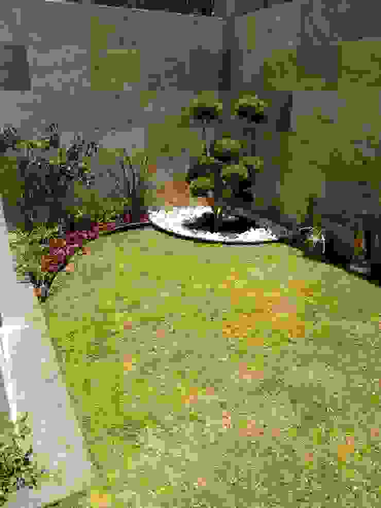 DISEÑO DE JARDÍN VELAZQUEZ, Arqca Arqca Giardino minimalista