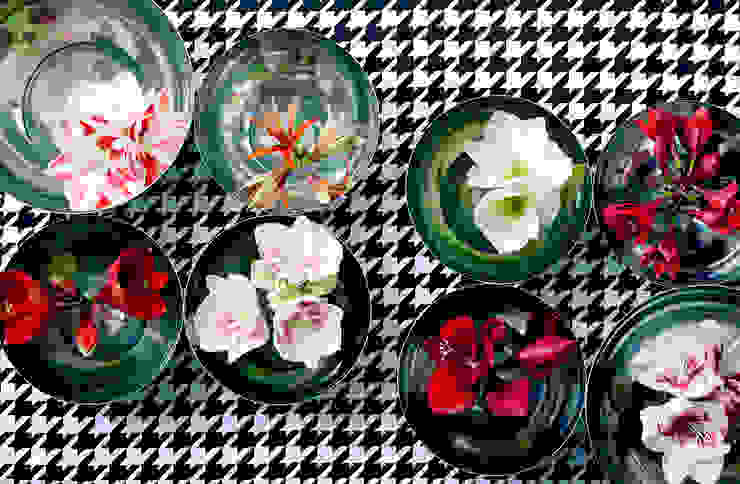 Beeindruckende Amaryllisblüten von Weiß über Rosé bis Rot Tollwasblumenmachen.de Moderne Wohnzimmer