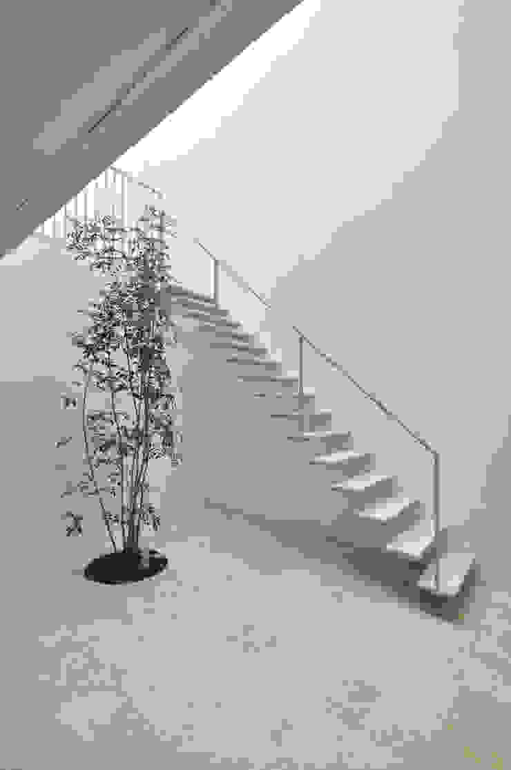 ＵＭ-ＨＯＵＳＥ 門一級建築士事務所 モダンスタイルの 玄関&廊下&階段