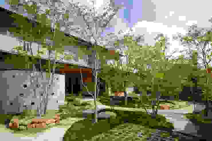 stage Y's 一級建築士事務所 Modern houses Wood Beige