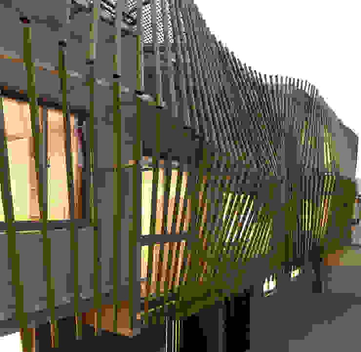 Bamboo Forest House Homify Bamboo Forest House Homify