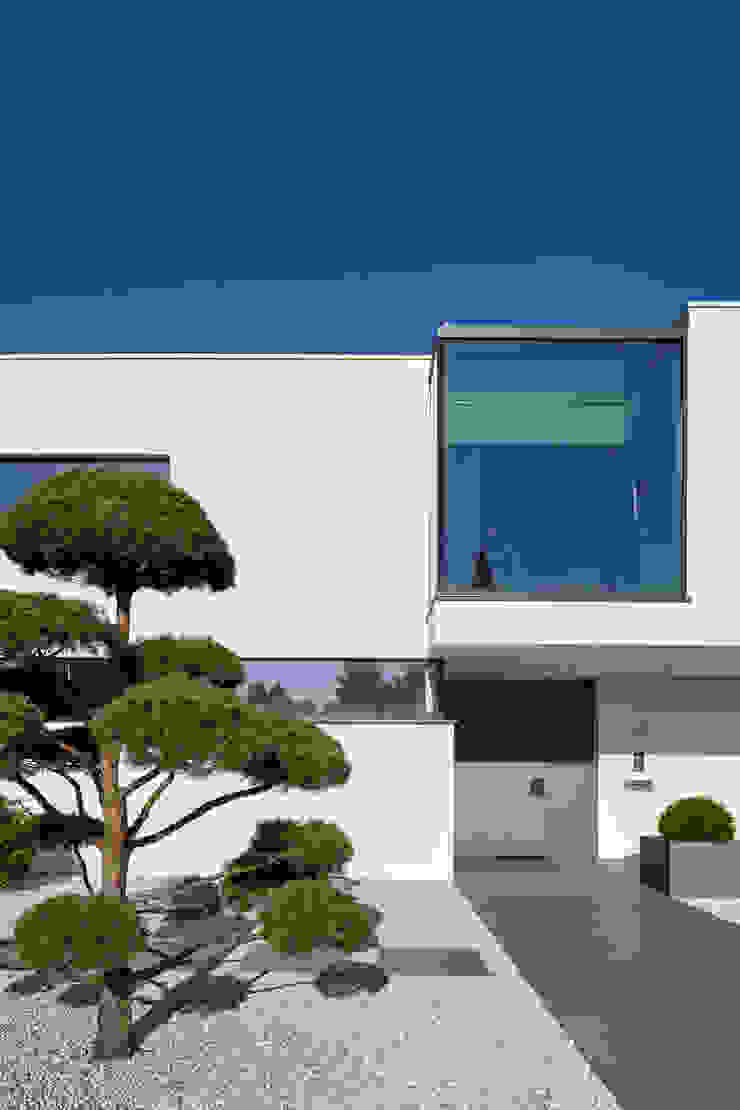 Lioba Schneider Architekturfotografie Modern home