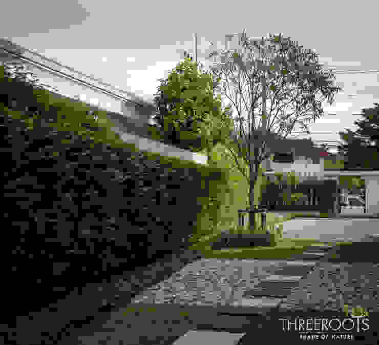 My Image 68
