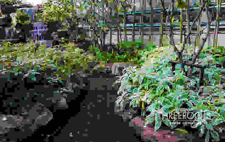 จ ดสวนข างบ าน ศาสตร และศ ลป ของการอย อาศ ยท สมด ล homify