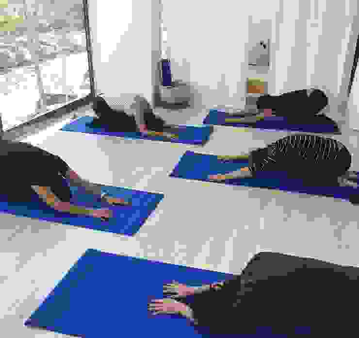 FLOW STUDIO PILATES WELLNESS Lojas e Espaços comerciais minimalistas por PLURALLINES - Ideias, Projectos e Gestão Lda Minimalista