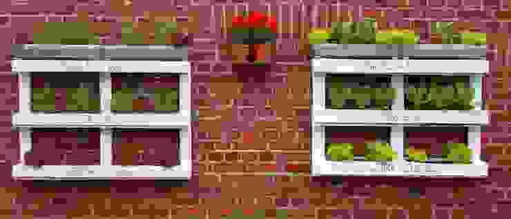 Salat-Bar aus Paletten, wohnausstatter wohnausstatter Pflanze,Blume,Eigentum,Fenster,Blumentopf,Zimmerpflanze,Rechteck,Botanik,Holz,Orange