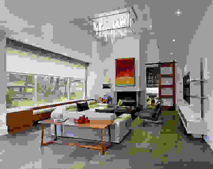 Living Room Douglas Design Studio Modern living room