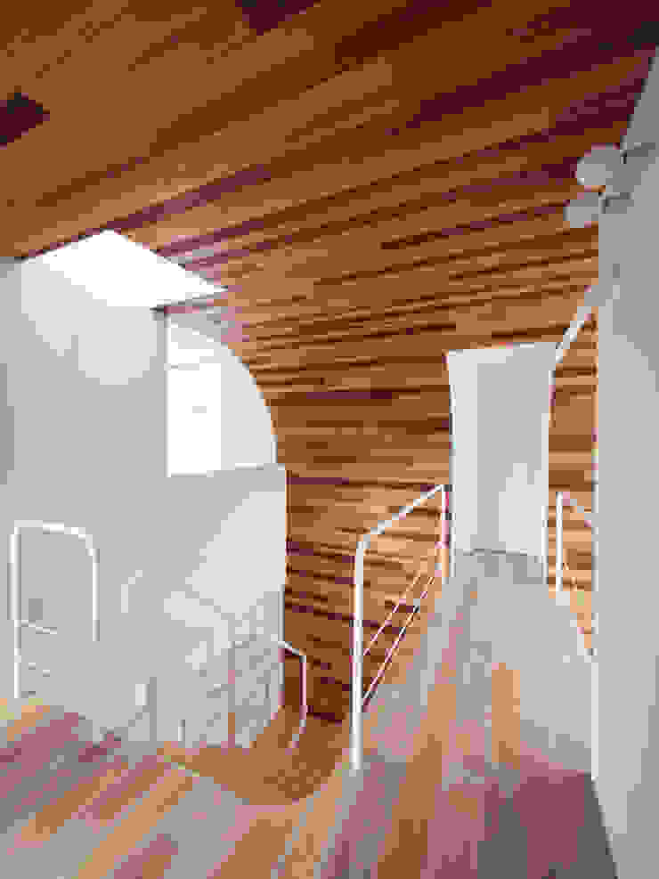 CACCO イシウエヨシヒロ建築設計事務所 YIA Stairs Wood Wood effect