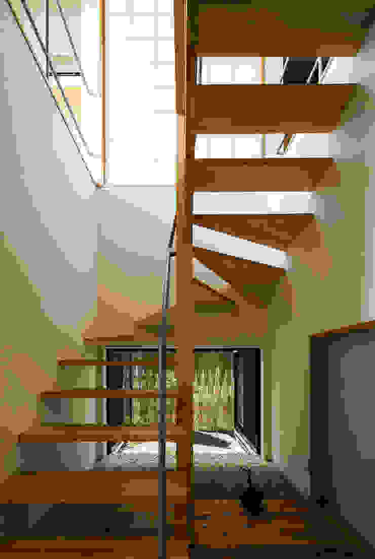階段と坪庭 藤森大作建築設計事務所 モダンスタイルの 玄関&廊下&階段 木 白色