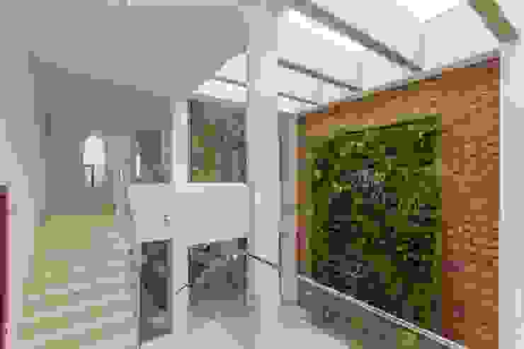 Jardins Verticais 7 Ideias Para Montar O Seu Fora Ou Dentro Da Sua Casa Homify