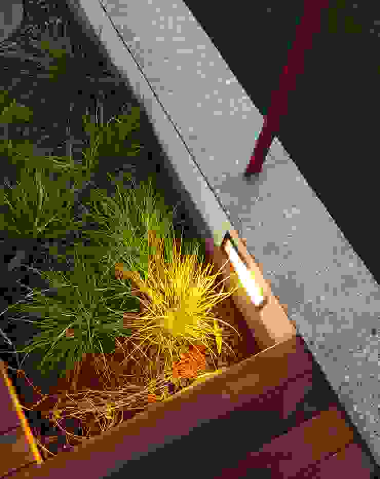 roof garden lighting Human Voice Architects 庭院