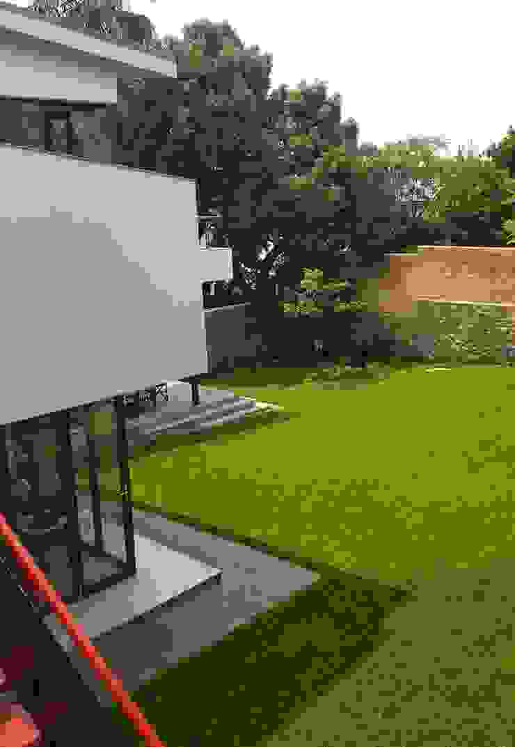 garden view from office stairs Human Voice Architects 庭院