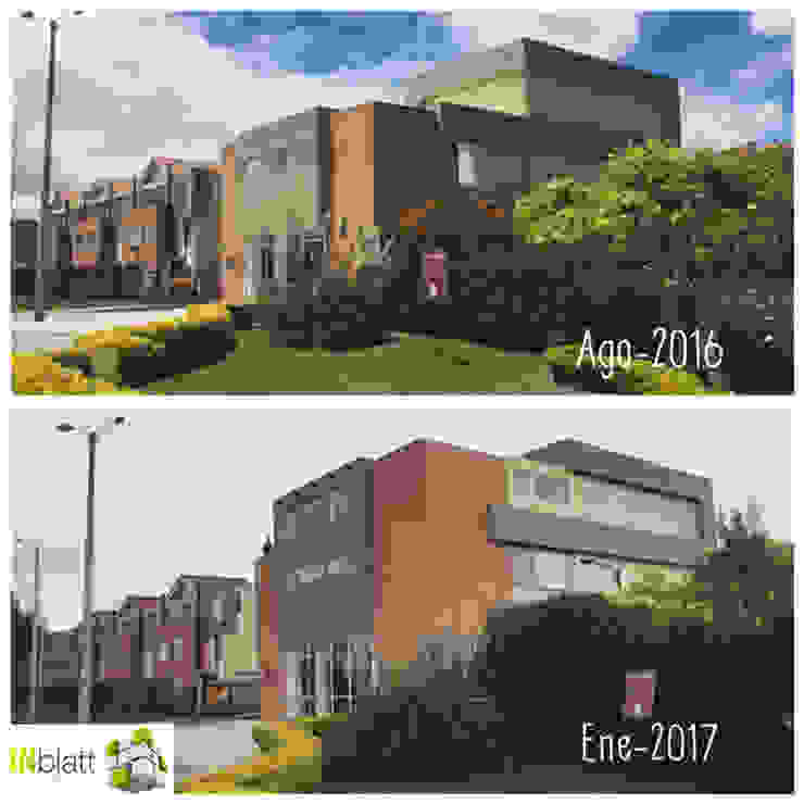 โดย INblatt _Arquitectura โมเดิร์น ไม้จริง Multicolored