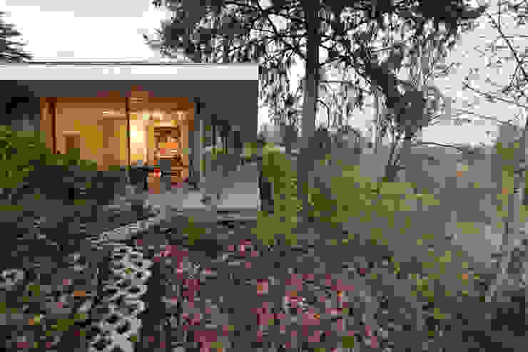 Courtyard House NO Architecture Ausgefallener Garten