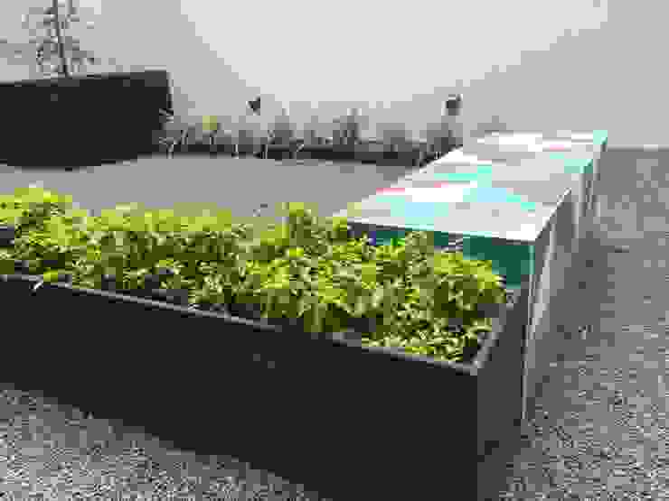 homify Modern garden Tiles Green