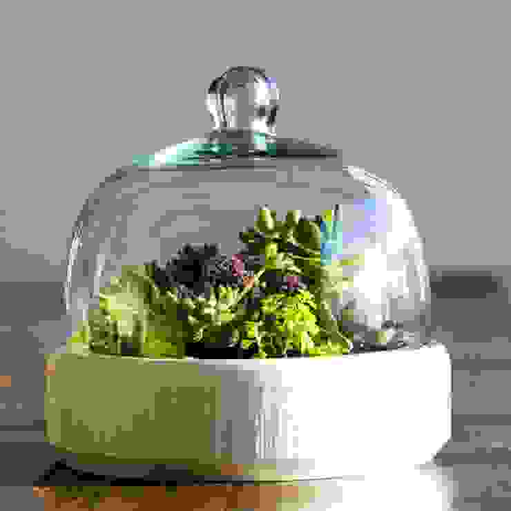 Bell Jar Marga Modern Garden Plants & accessories