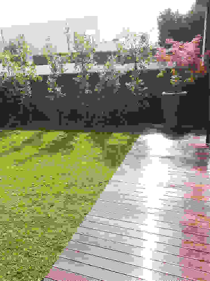 Jardim Tangerinas & Pêssegos - Foz do Douro homify Jardins de fachada Madeira Verde jardim,vasos de plantas,sebe,relvado,deck,jardim contemporâneo,plantas de exterior,deck em madeira,metrosiderus,acer palmatum,pormenor jardim,jardim principal