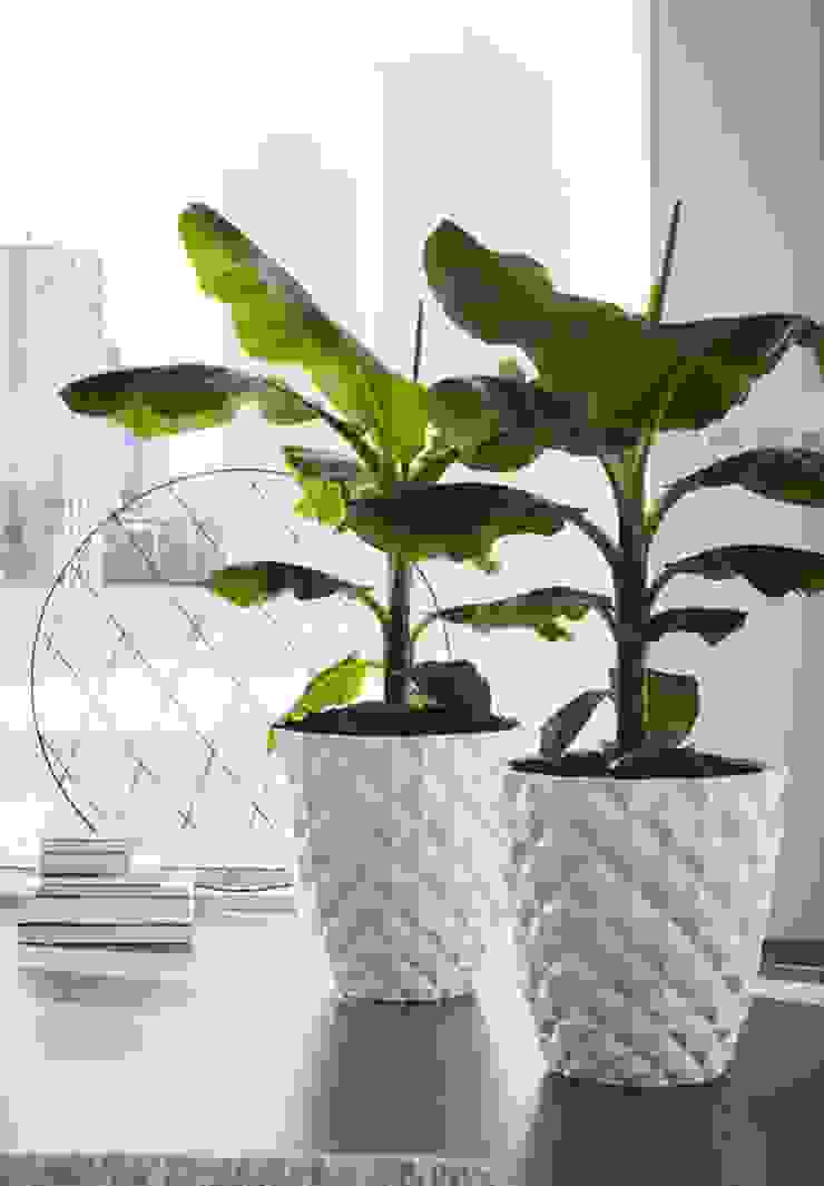 Heraldry Large White Modern Indoor Planter Homify