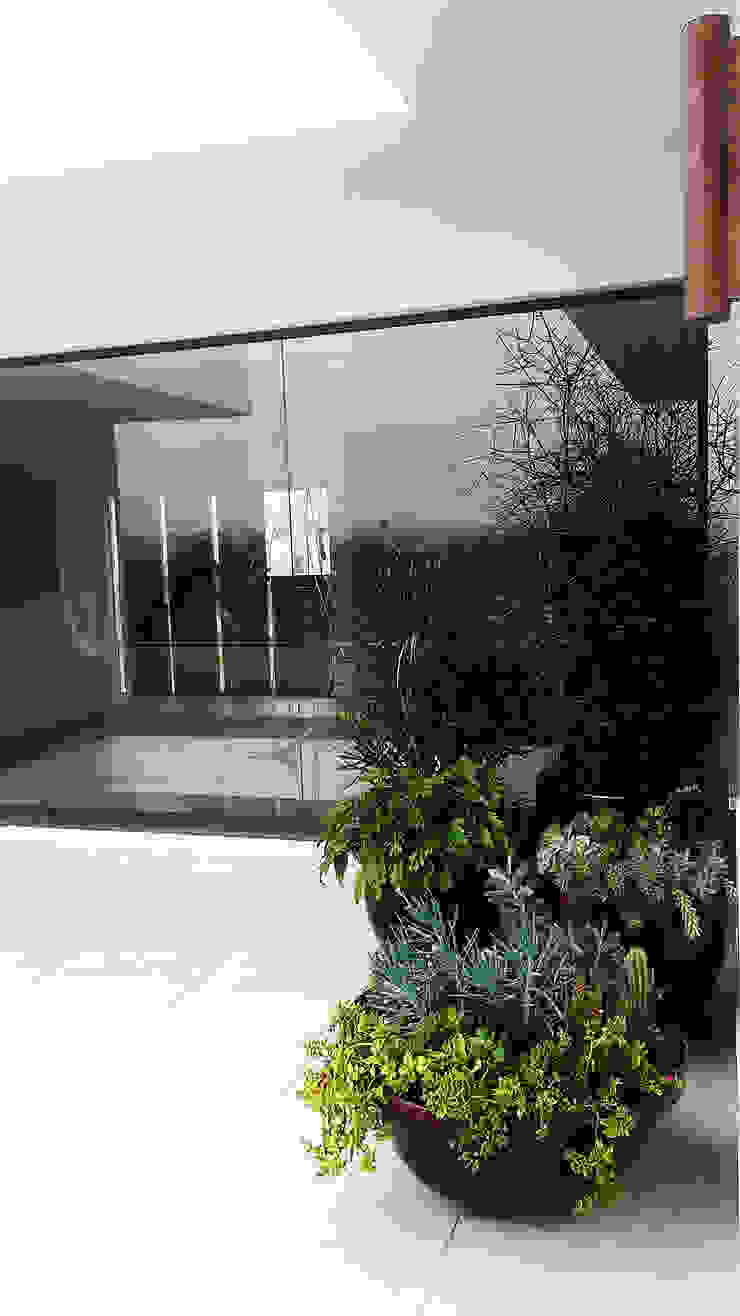 RESIDÊNCIA TM, Lá Fora | arquitetura da paisagem Lá Fora | arquitetura da paisagem Jardins modernos terraço,jardim,paisagismo,suculentas,vasos,vasos de plantas