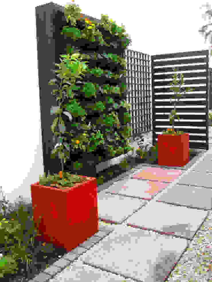 Working with Small Gardens, Young Landscape Design Studio Young Landscape Design Studio Giardino moderno