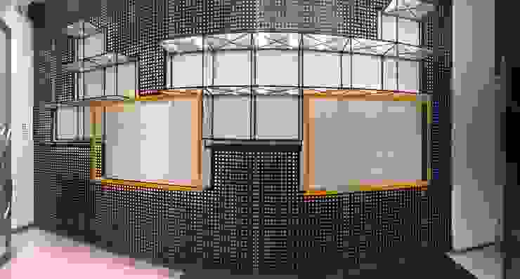 Estudio ZP